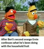 1732983585538.png
