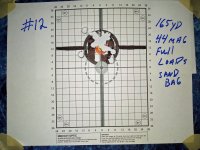 44 Mag targets with shooting glasses.jpg