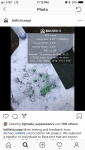 A6E65F4A-90E6-49EB-A4A9-49CA2BDC7054.png