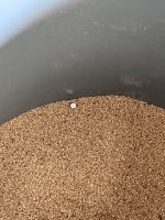 IMG_6744.jpeg