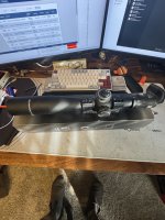 IMG_4272.jpeg