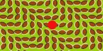 illusion target 3.jpg