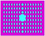 illusion target 5.jpg