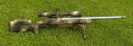 6.5 creedmoor PSS custom.jpg