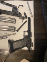 IMG_2895.jpeg