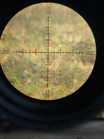 IMG_4416.jpeg