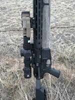 IMG_1868.jpeg
