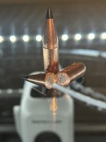 IMG_5025.jpeg