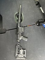 IMG_8245.jpeg