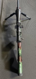 IMG_2291.jpeg