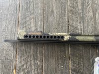 IMG_8203.jpeg