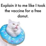 IMG_2858.jpeg