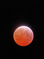 IMG_2515.jpeg
