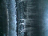 IMG110101-000300F.JPG