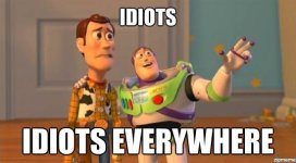 idiots.jpeg