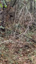 20181115_151200.jpg