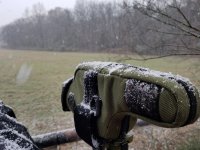 20181115_160653.jpg