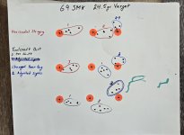 20250315_135320.jpg