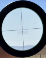 IMG_7824.jpeg