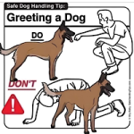 IMG_2025-03-15-220034.png