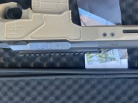 IMG_3024.jpeg