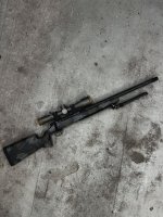 IMG_4339.jpeg