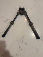 IMG_6785.jpeg