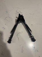 IMG_6781.jpeg