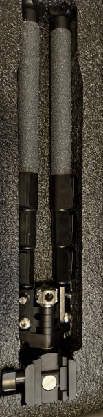 IMG_8036.jpeg