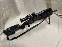 IMG_8541.jpeg