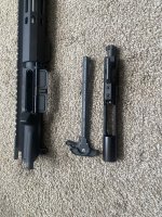 IMG_4329.jpeg
