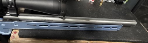 IMG_1310.jpeg