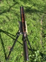 IMG_6824.jpeg