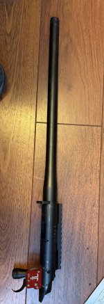 IMG_1311.jpeg