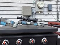 IMG_1205.jpeg