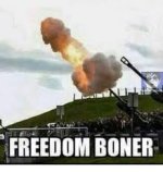 download (15).jpeg