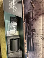 IMG_8379.jpeg