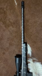 IMG_7729.jpeg