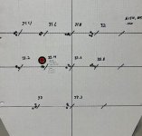 IMG_8200.jpeg