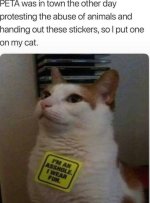 IMG_6618.jpeg