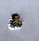 IMG_1227.jpeg