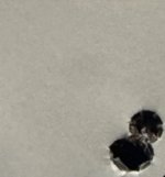 IMG_1237.jpeg