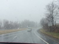 IMG_1642.jpeg