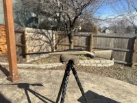 IMG_3329.jpeg