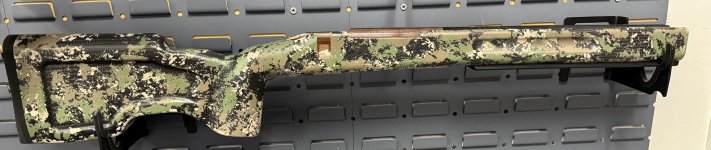 IMG_1408.jpeg