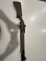 IMG_6608.jpeg