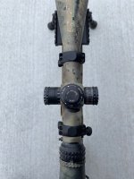 IMG_6026.jpeg