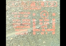 IMG_7675.png