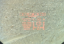 IMG_7690.png