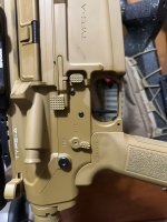 IMG_5183.jpeg